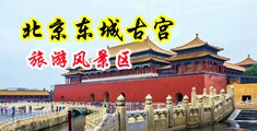 美女被操到高潮不断视频中国北京-东城古宫旅游风景区